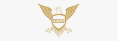 Dssg